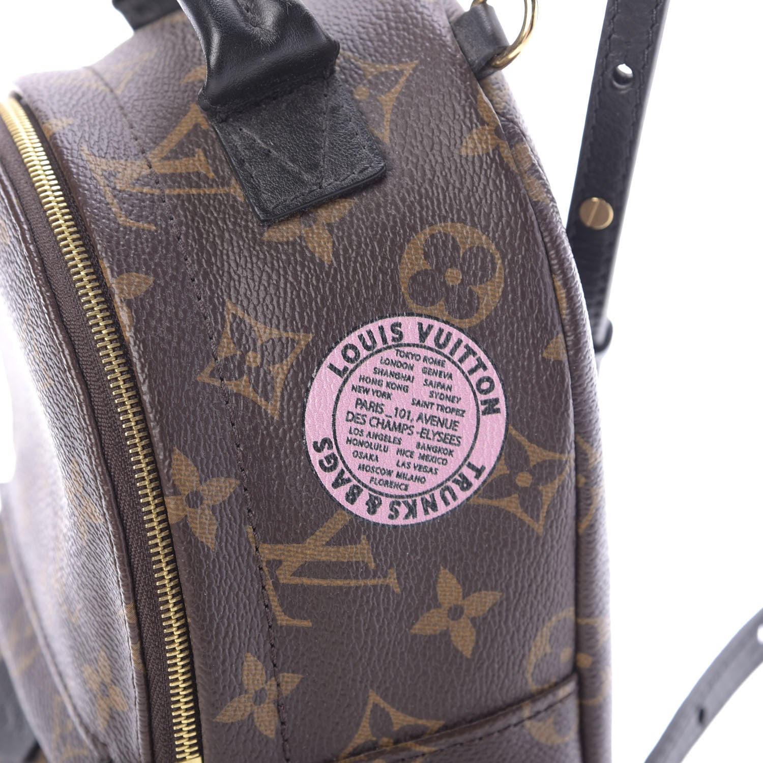 Louis Vuitton Monogram My World Tour Palm Springs Backpack Mini 9 of 9