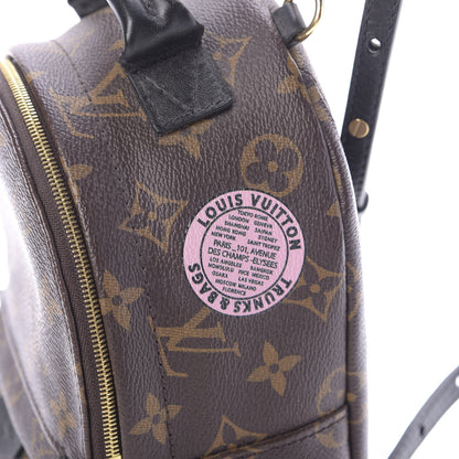 Louis Vuitton Monogram My World Tour Palm Springs Backpack Mini 9 of 9