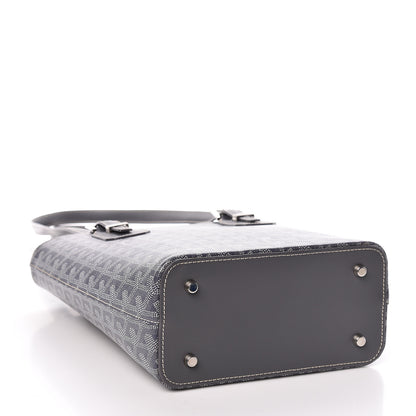 Goyard Goyardine Marie Galante PM Grey 4 of 9