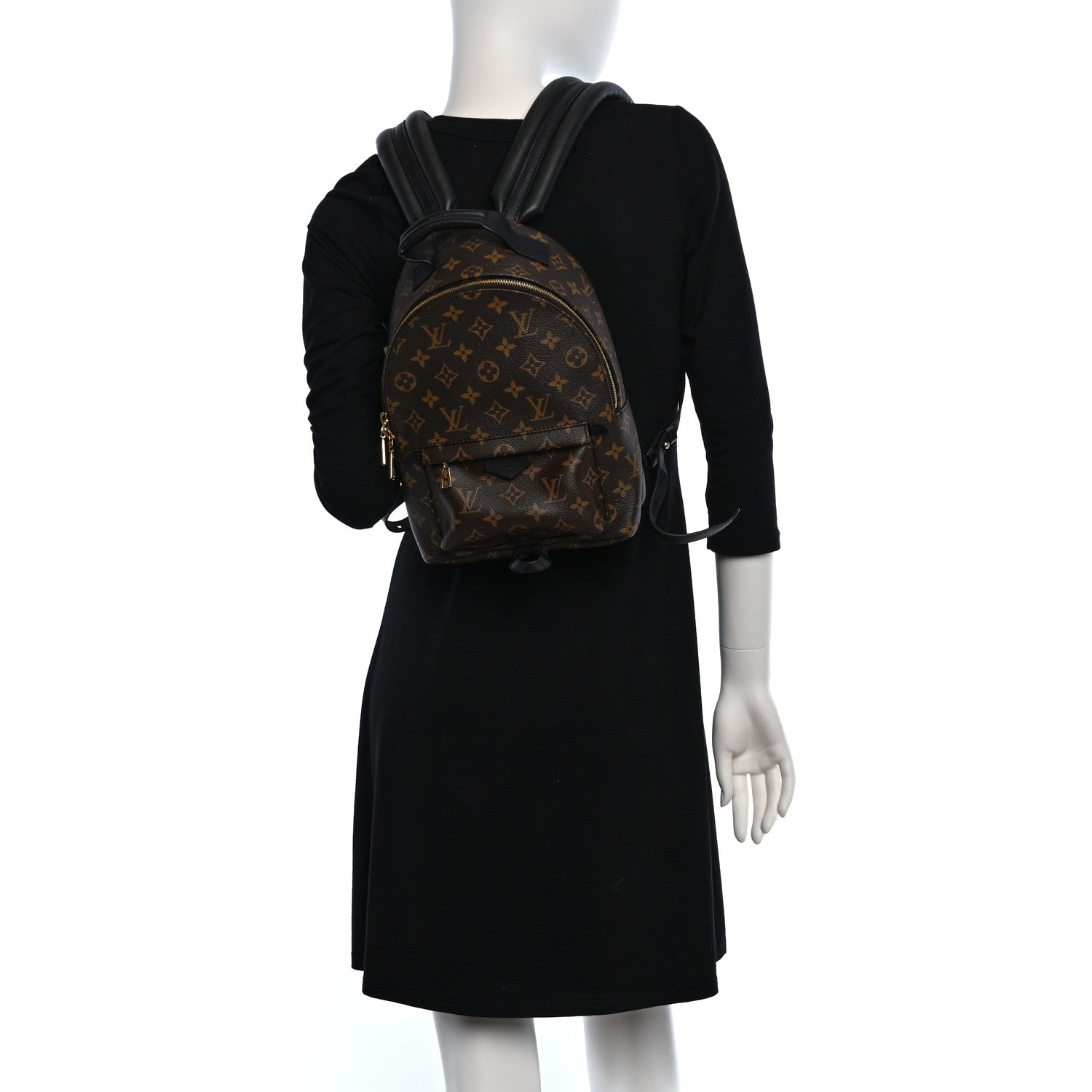 Louis Vuitton Monogram Palm Springs Backpack PM 2 of 9
