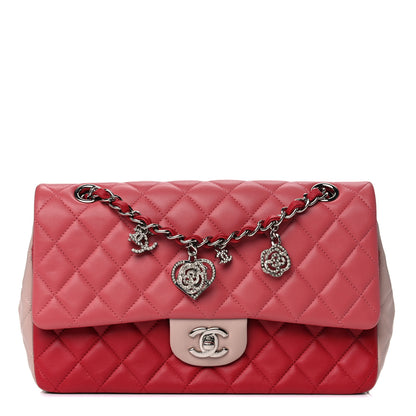 Chanel Lambskin Quilted Tri-Color Medium Single Flap Pink 1 of 12