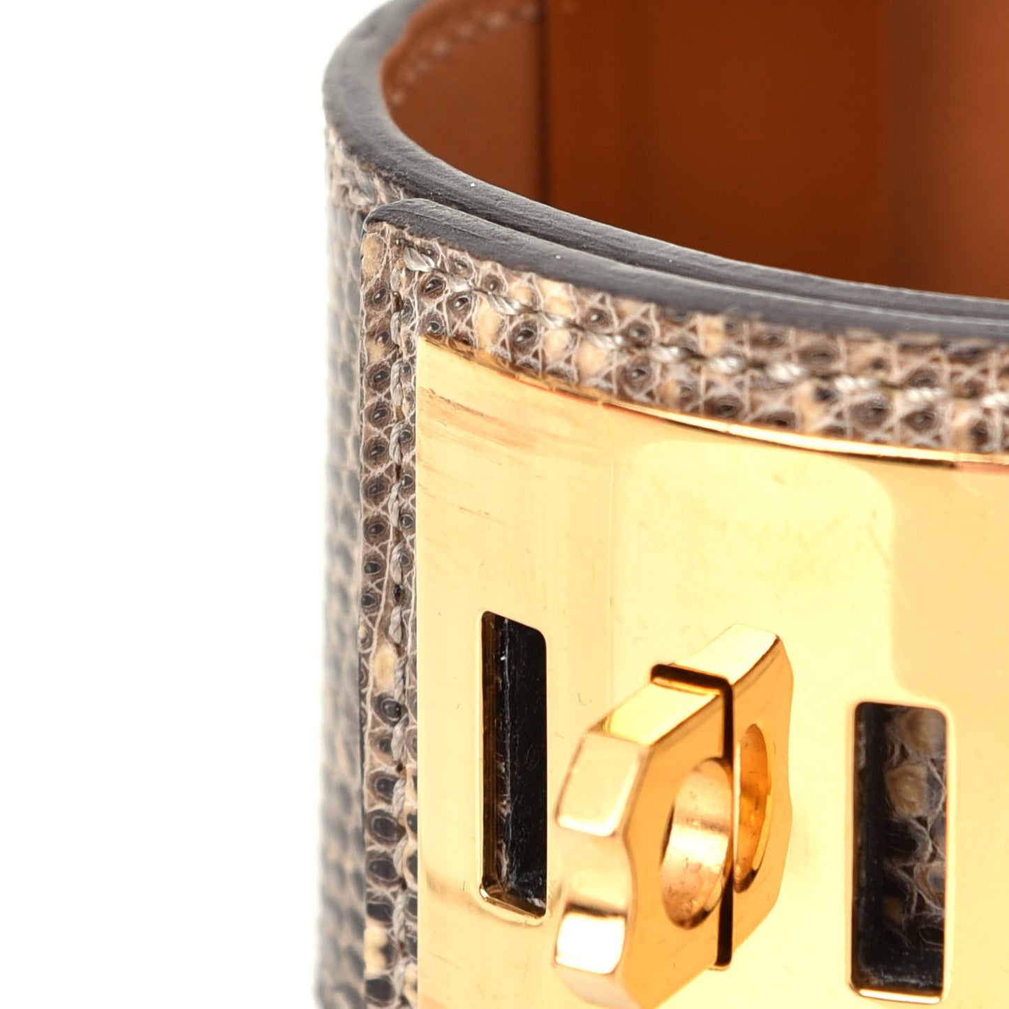 Lizard Collier De Chien CDC Bracelet S Ombre