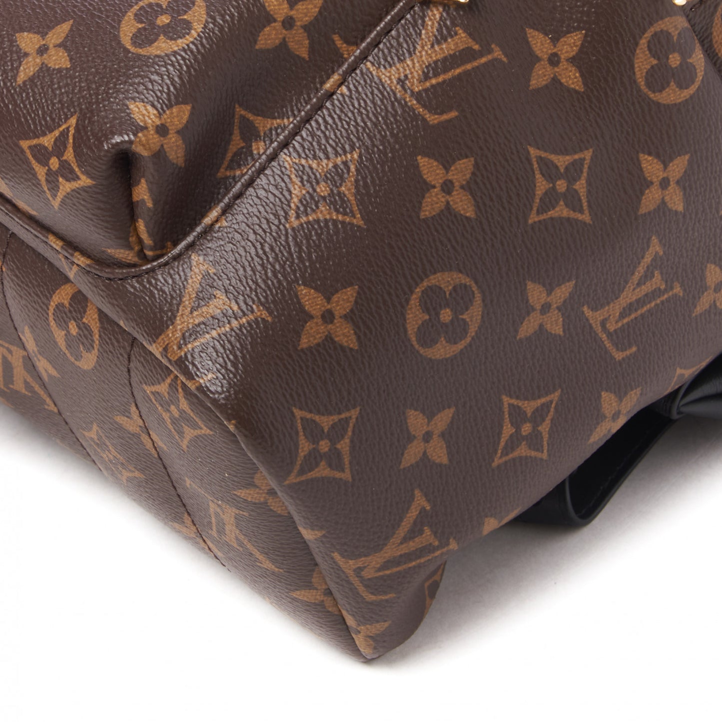 Monogram Palm Springs Backpack MM