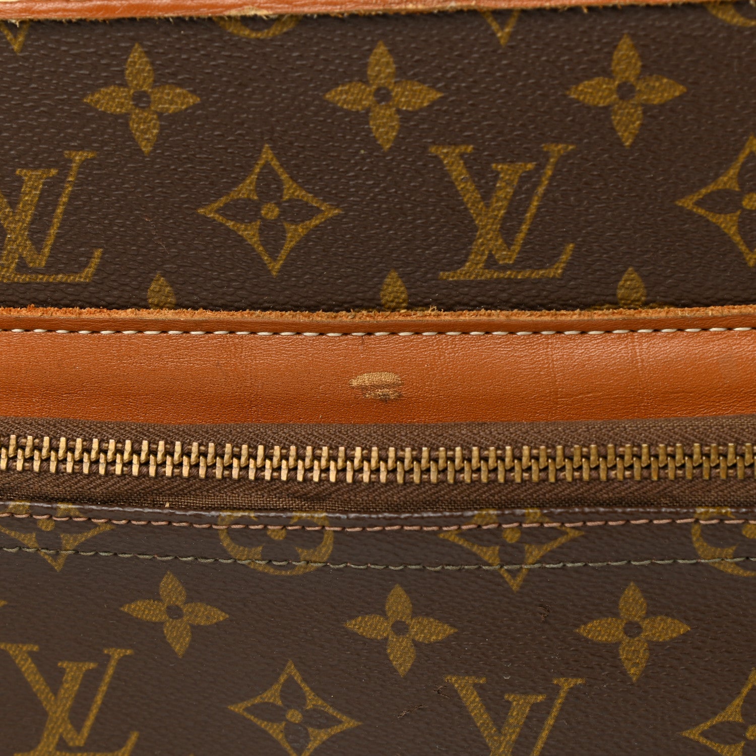 Louis Vuitton Monogram Garment Cover 18 of 23