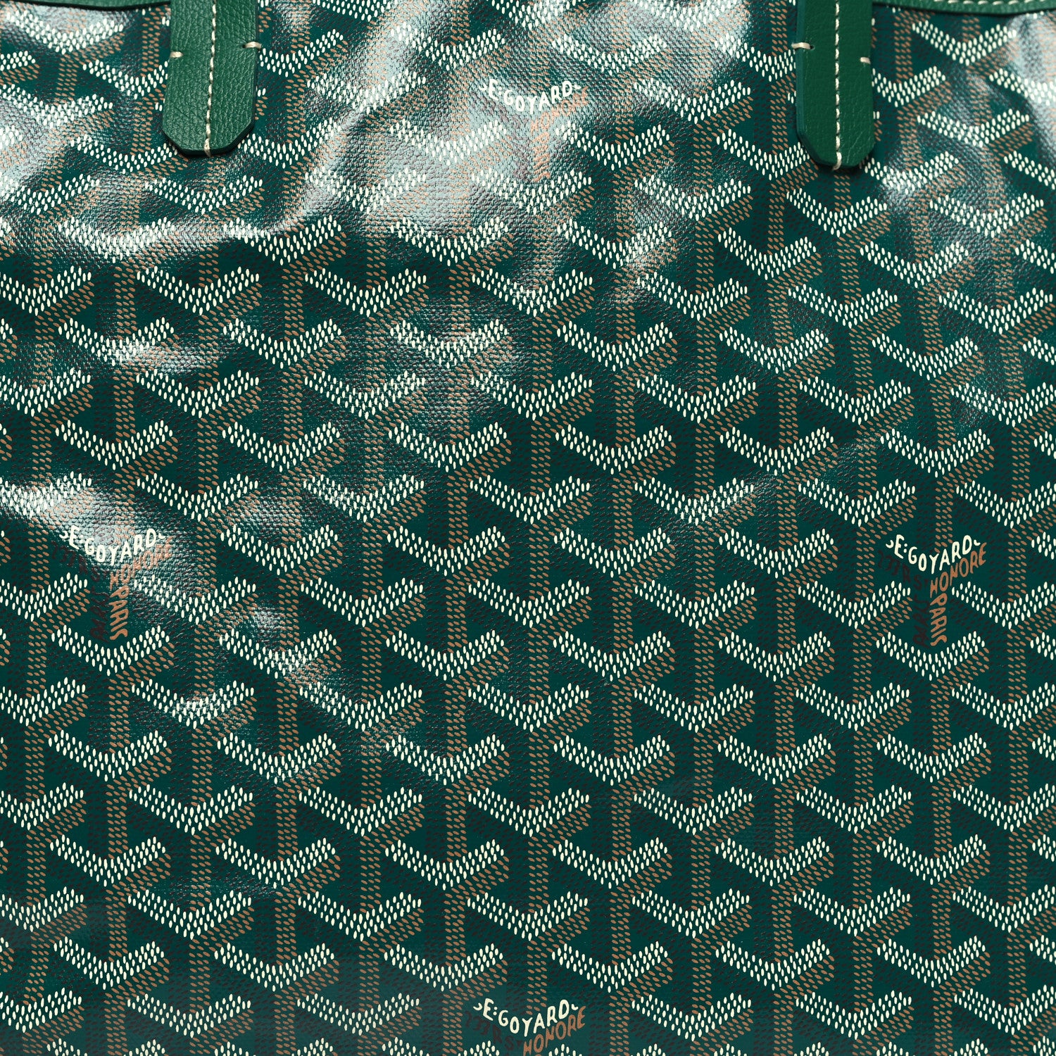Goyard Goyardine Saint Louis PM Green 9 of 11