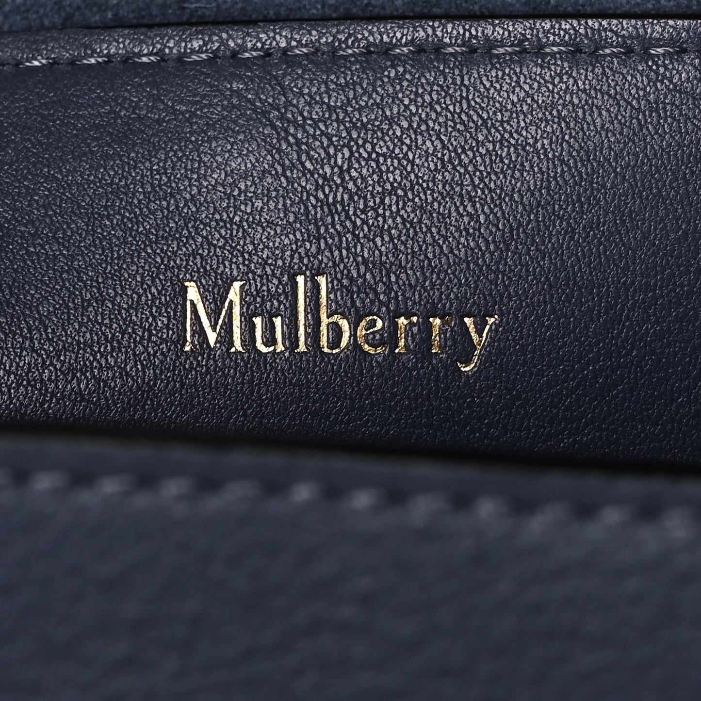 Small Classic Grain Calfskin Mini Seaton