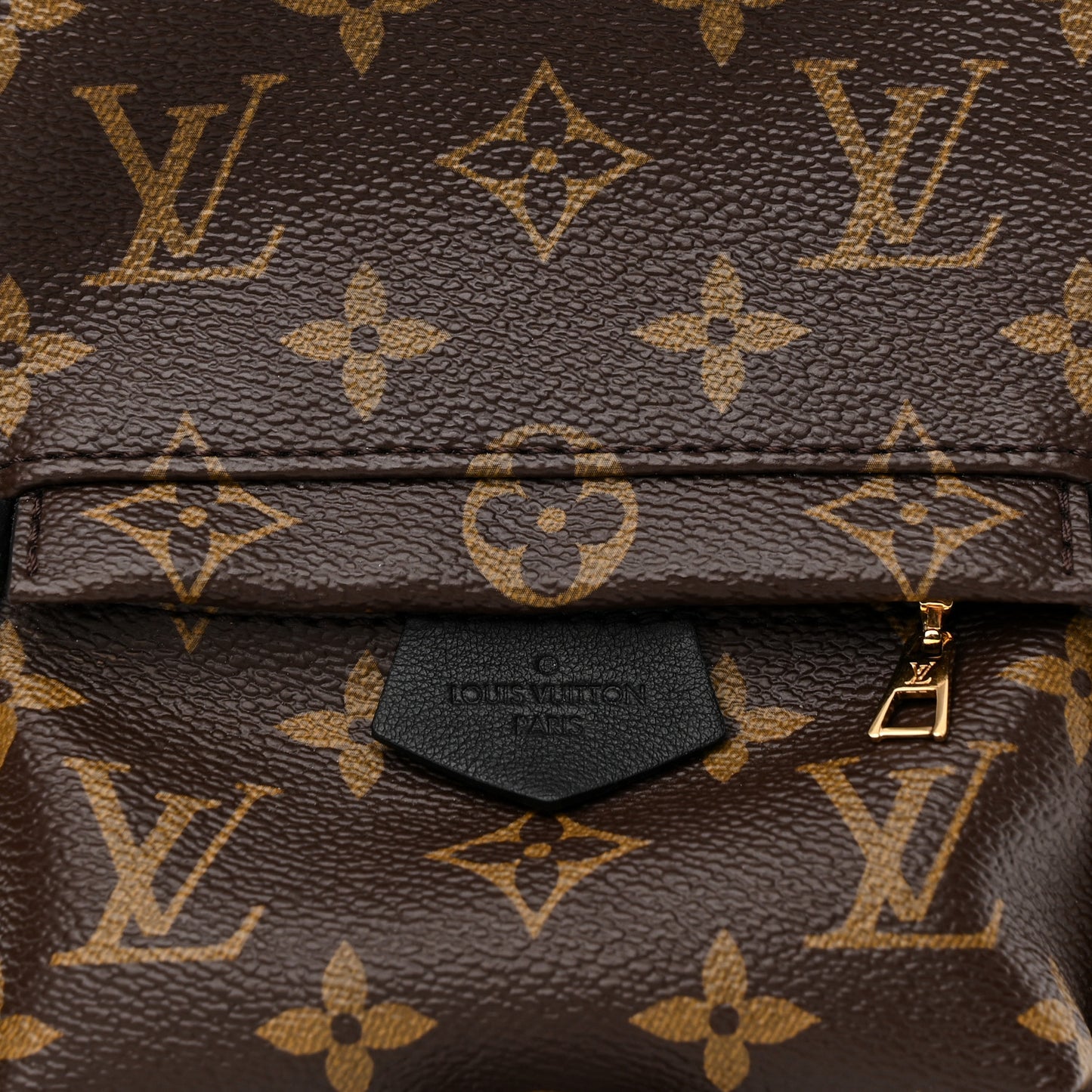 Monogram Palm Springs Backpack Mini