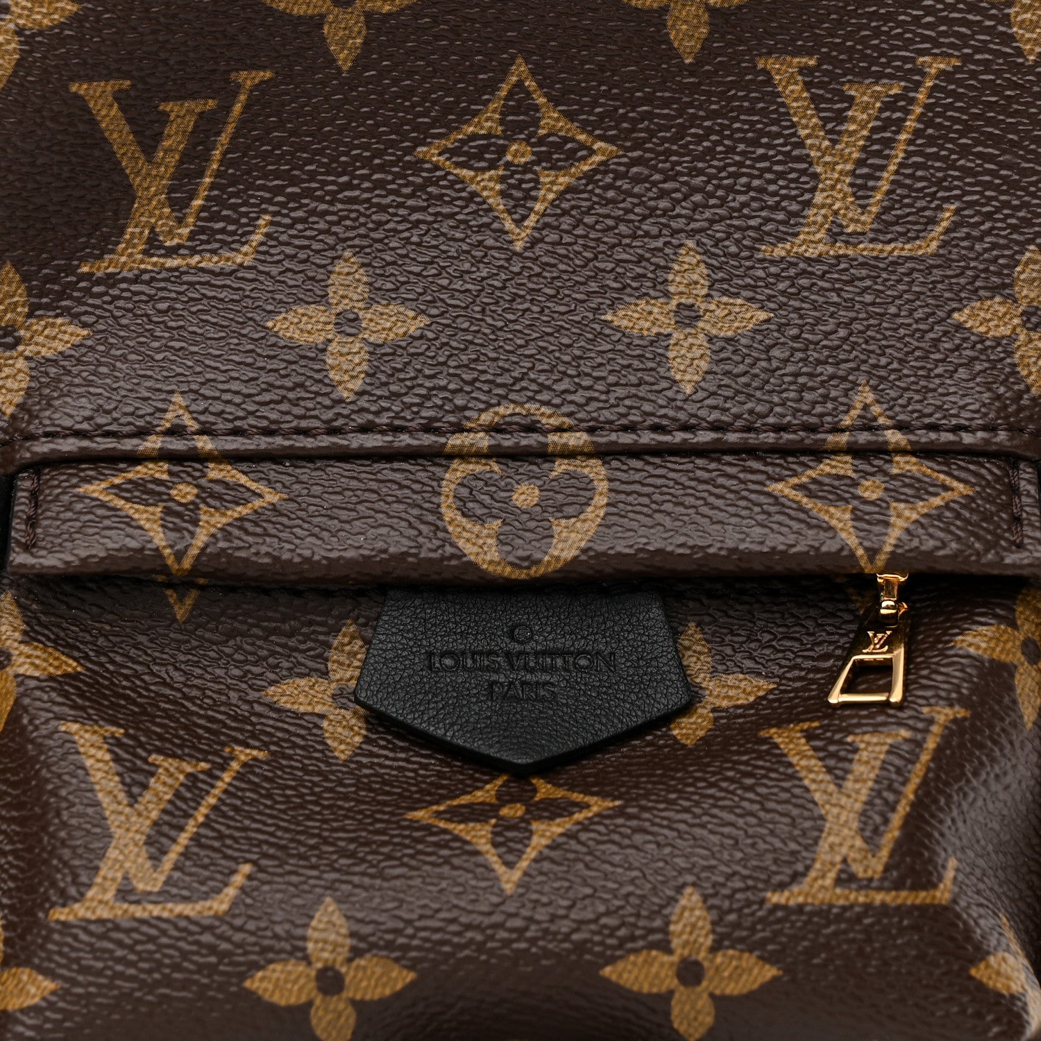 Louis Vuitton Monogram Palm Springs Backpack Mini 8 of 10