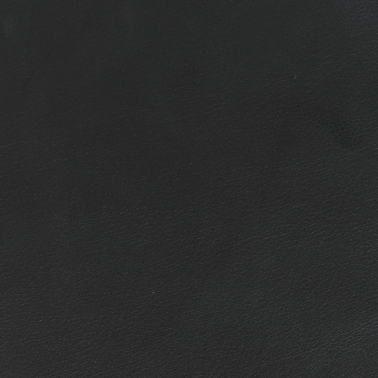 Vitello Dolce Century Petite 2Jours Tote Black Carbone