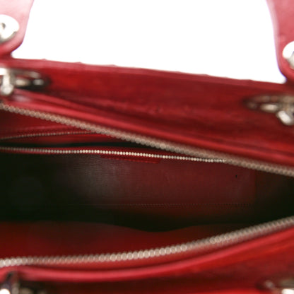 Christian Dior Ostrich Large Lady Dior Dark Brick 5 of 8