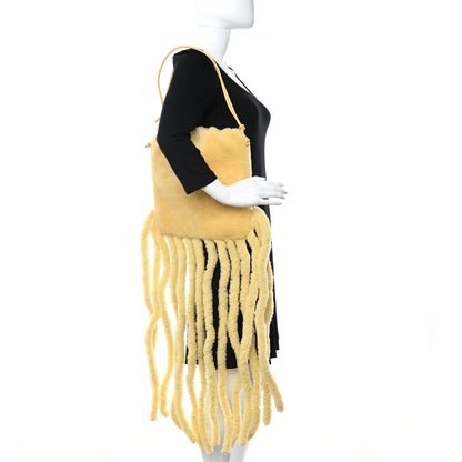 Bottega Veneta Shearling The Fringe Pouch Teddy 3 of 16