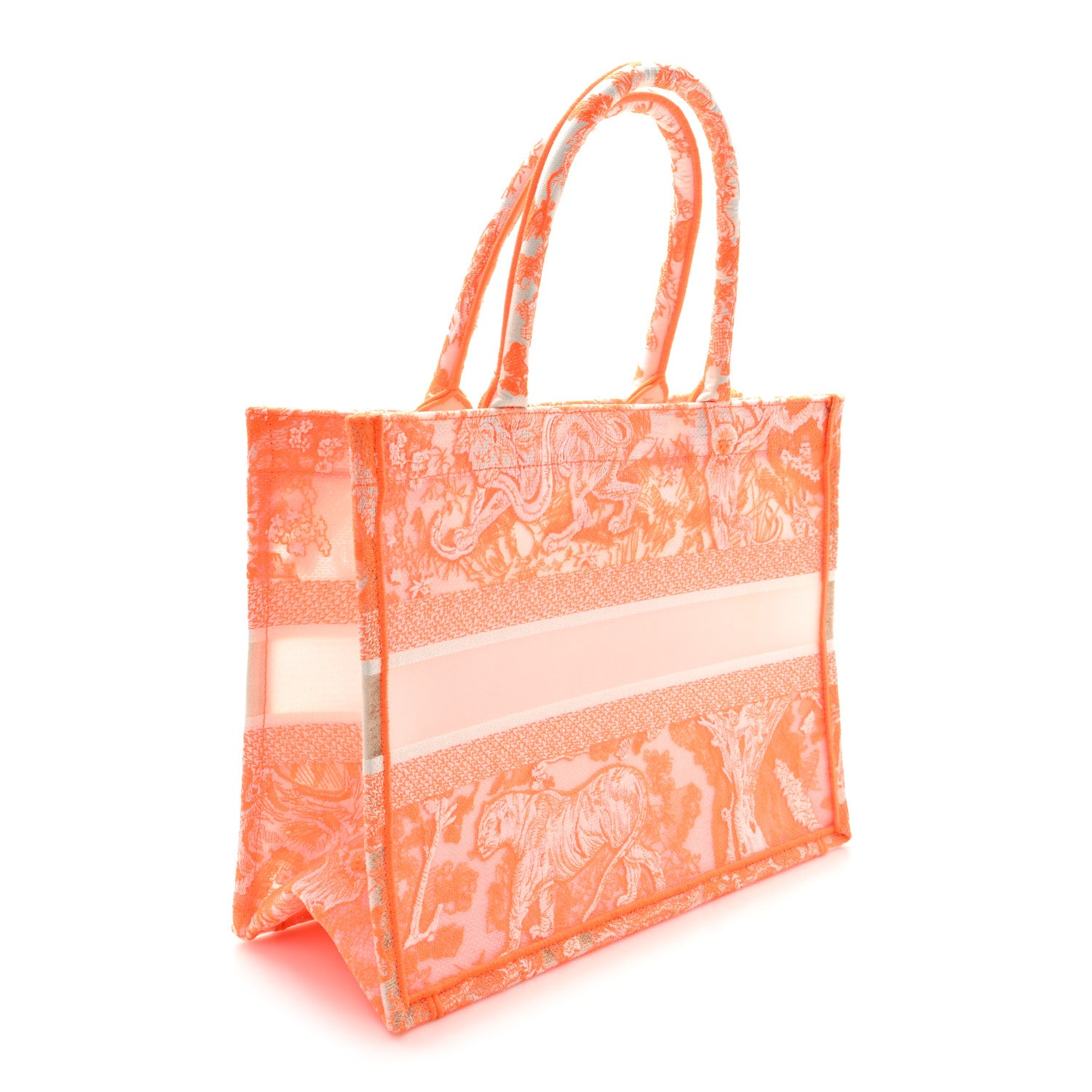 Christian Dior Transparent Canvas Embroidered Medium Dioriviera
