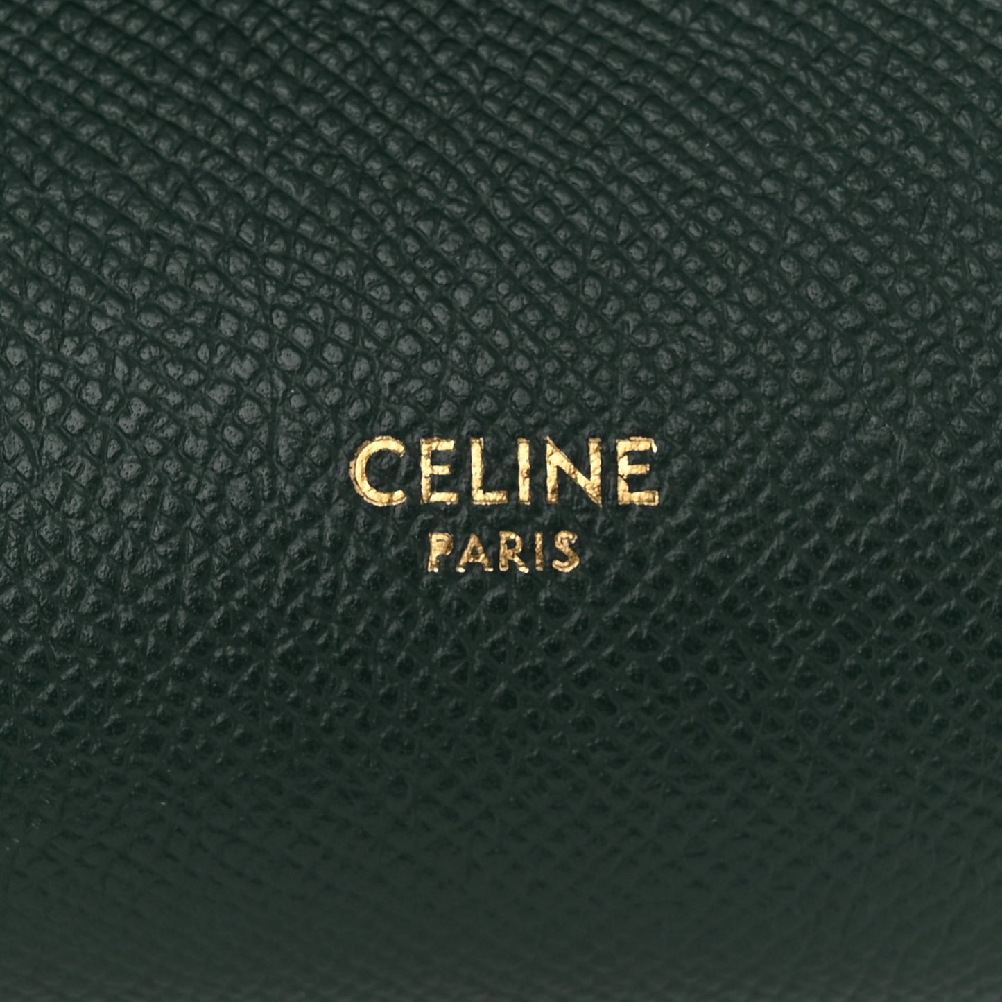 Grained Calfskin Pico Belt Bag Amazone