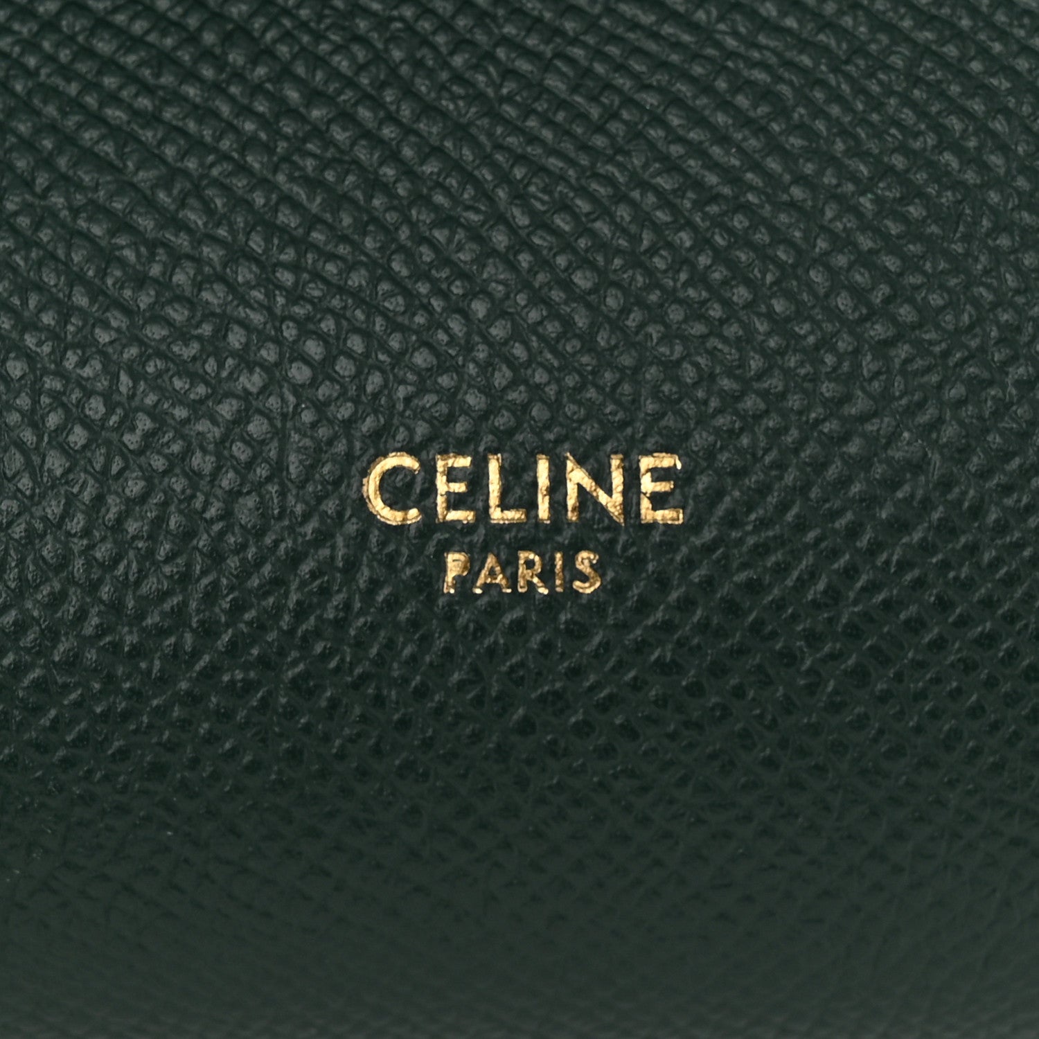 Celine Grained Calfskin Pico Belt Bag Amazone 6 of 10