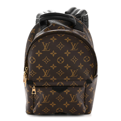 Louis Vuitton Monogram Palm Springs Backpack PM 1 of 12