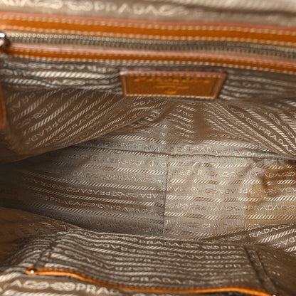 Prada Paglia Cinghiale Frame Bag Naturale Cuoio 5 of 10
