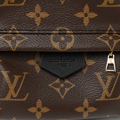 Louis Vuitton Monogram Palm Springs Backpack Mini 10 of 11