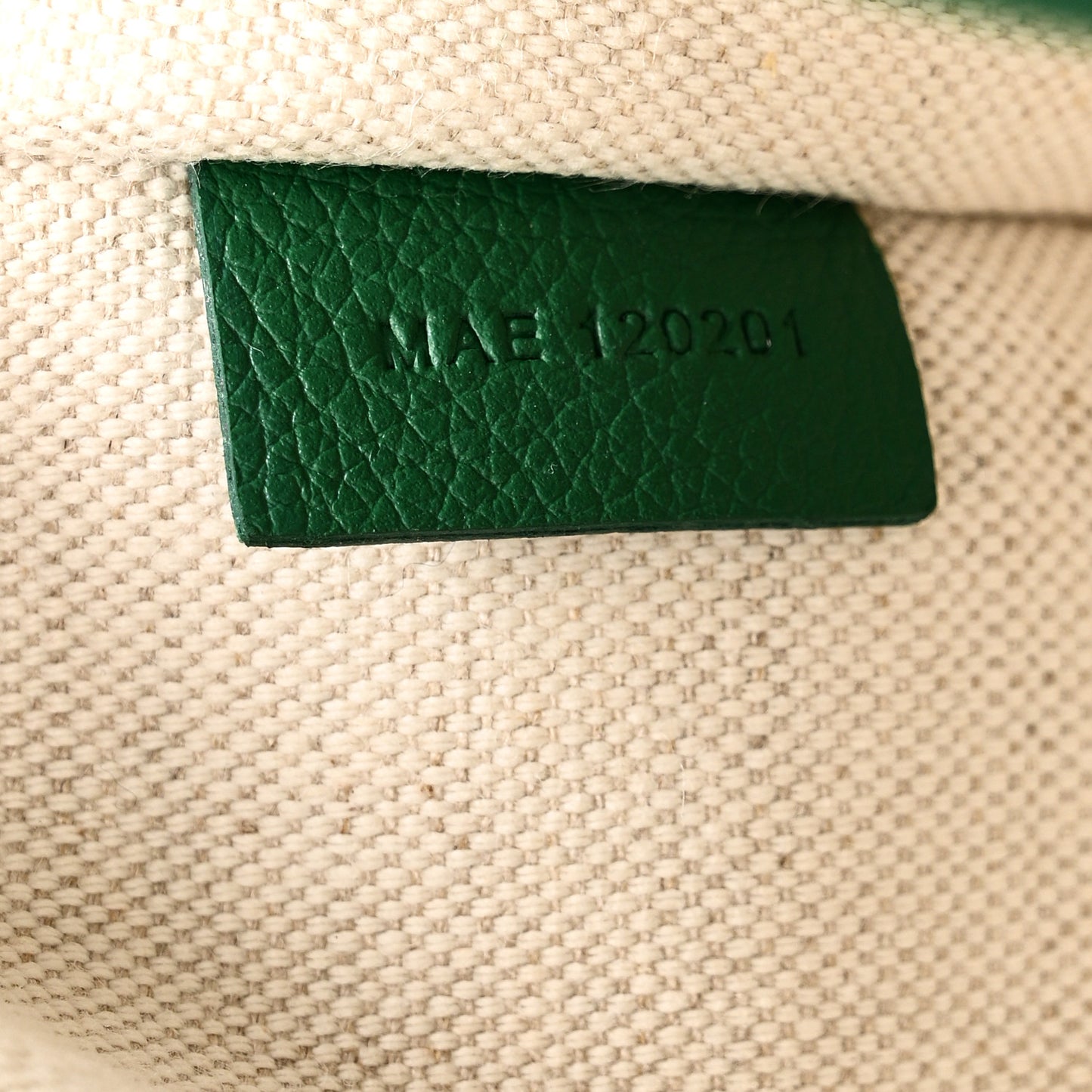 Goyardine Villette Tote Green