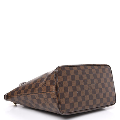 Louis Vuitton Damier Ebene Saleya PM 3 of 15