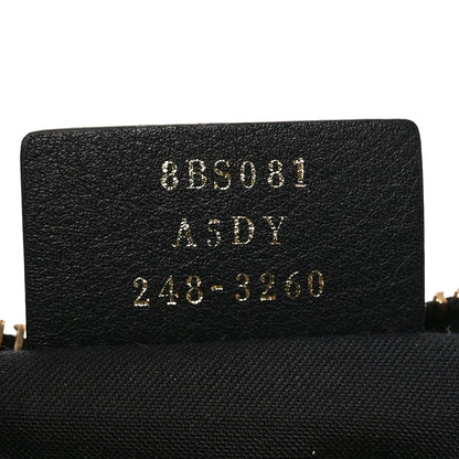 Fendi Vitello Grace Matte Mini Fendigraphy Hobo Bag Black 7 of 10