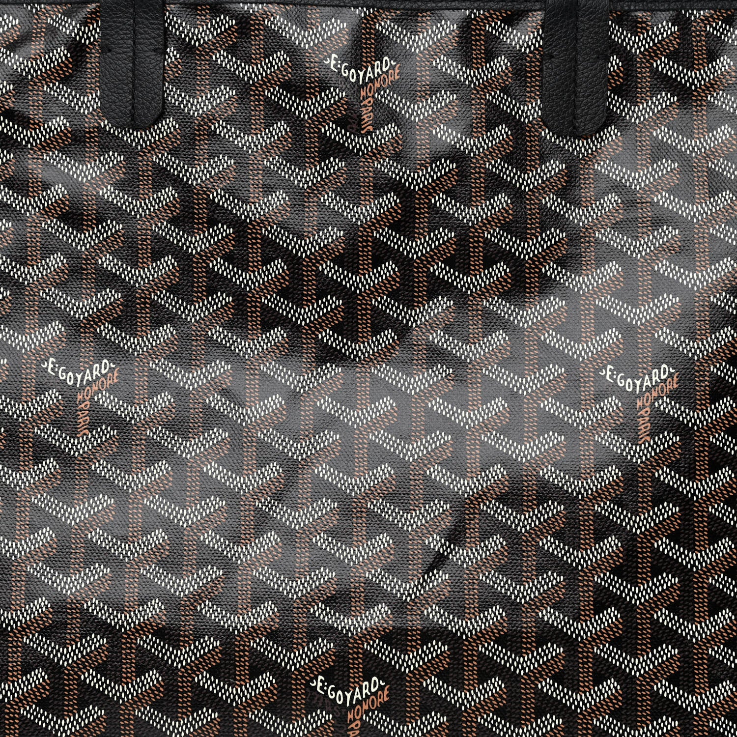 Goyard Goyardine Saint Louis PM Black 10 of 12