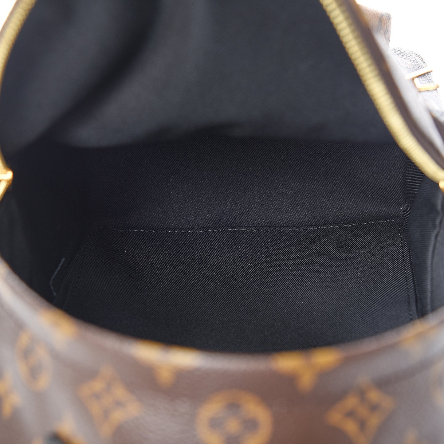 Reverse Monogram Palm Springs Backpack PM