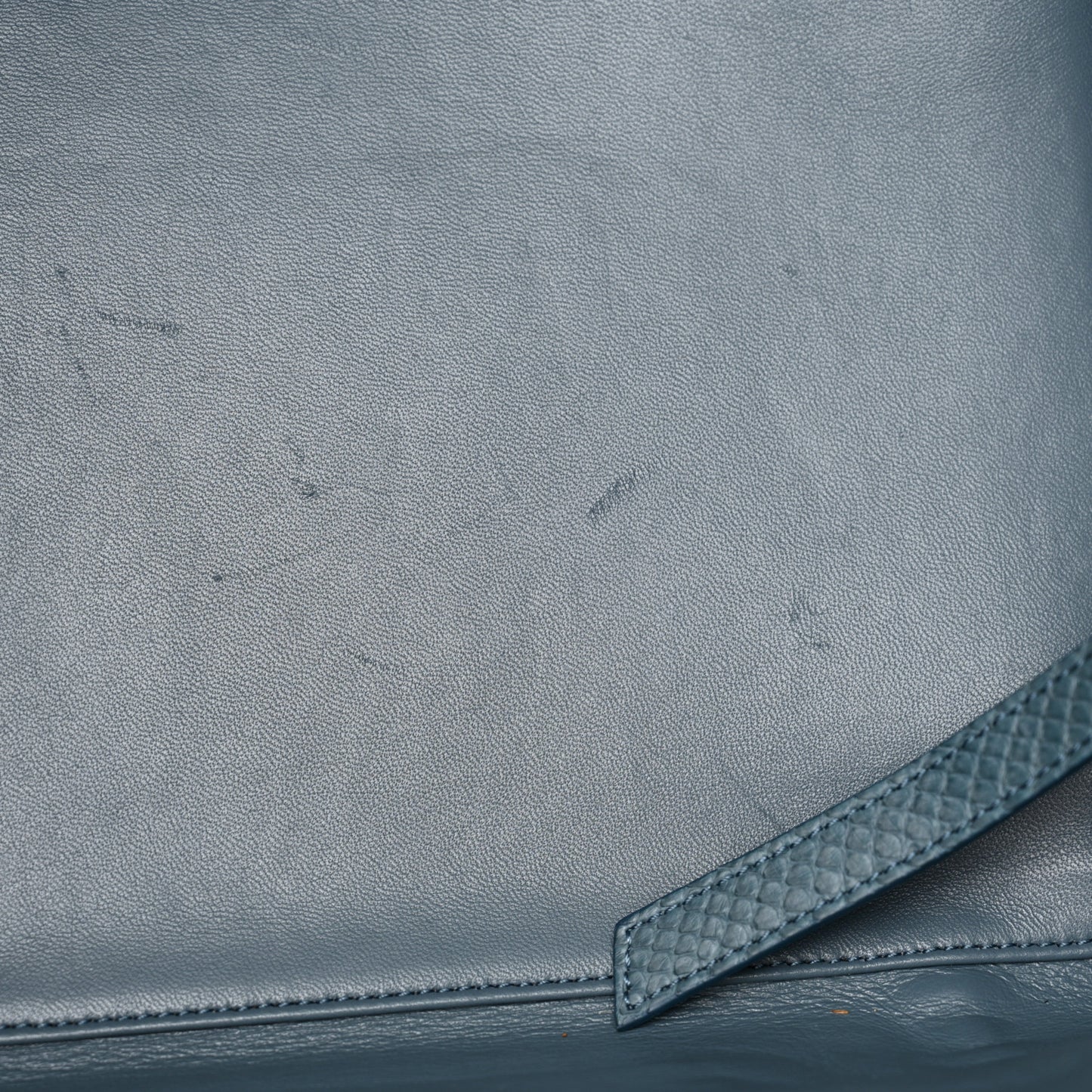Snakeskin Medium Phantom Luggage Grey