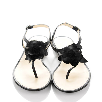 Chanel Lambskin Camellia Thong Sandals 40 Black 2 of 7