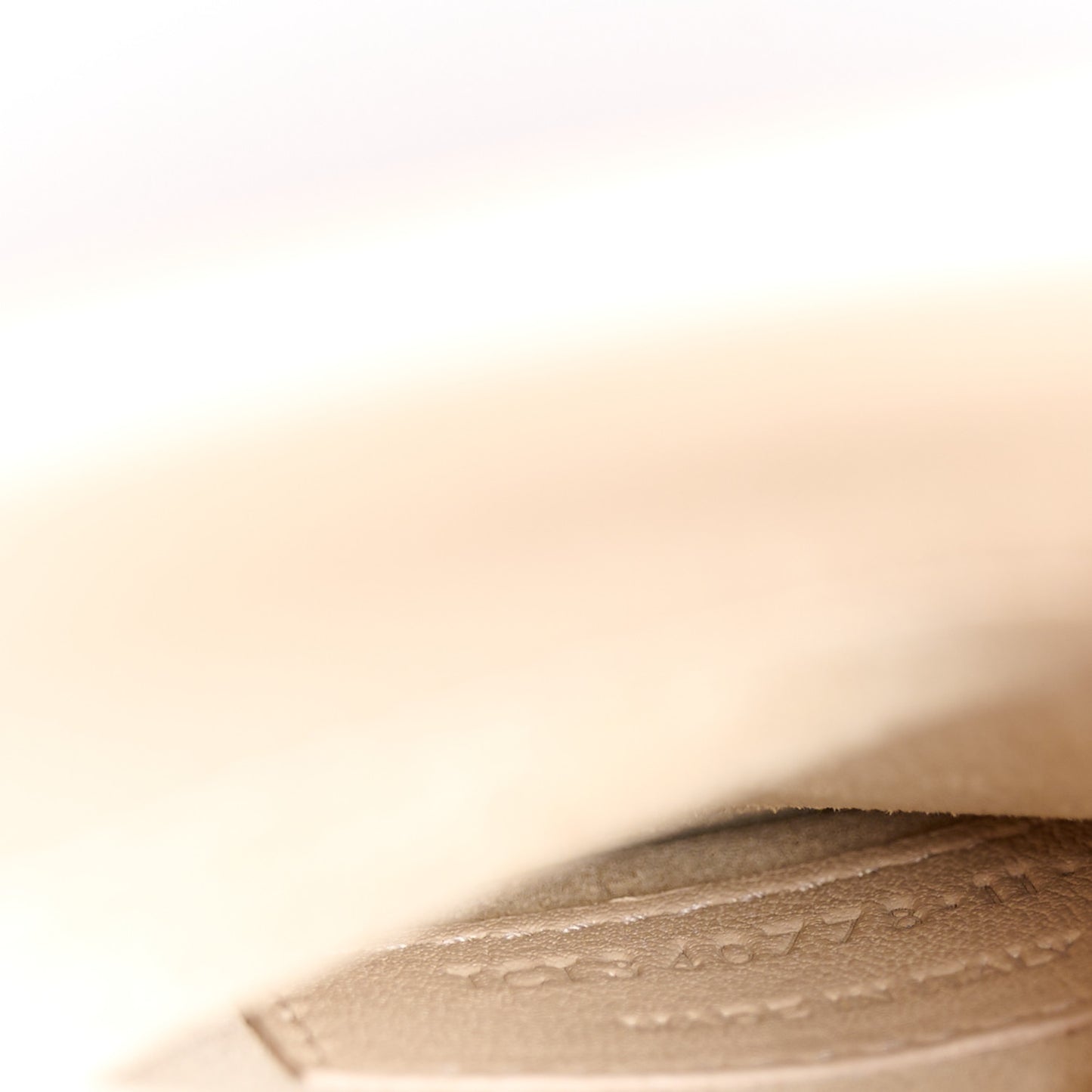 Smooth Calfskin Nano Sac De Jour Dark Beige