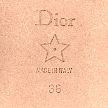 Christian Dior Canvas Toile De Jouy Embroidered Dway Flat Slide Sandals 36 Chateau Rose 8 of 10