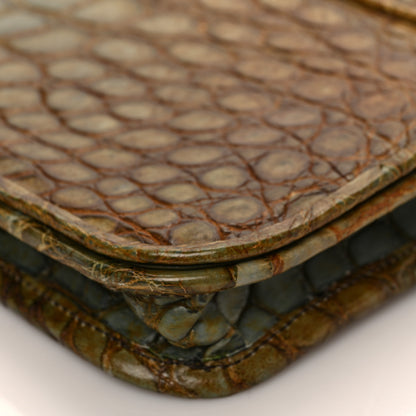 Salvatore Ferragamo Alligator Degrade Iolanda Clutch Cygno 9 of 9