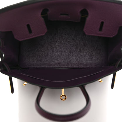 Hermes Togo Birkin 25 Cassis 5 of 8