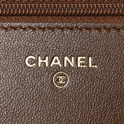 Chanel Lambskin Quilted Chanel 19 Wallet On Chain WOC Brown 6 of 12