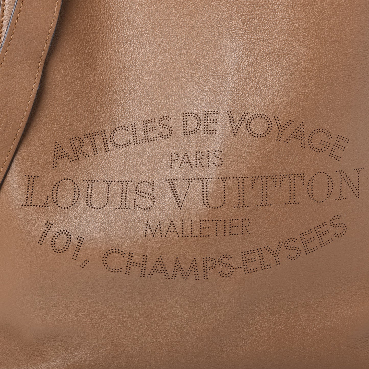 Veau Soie Calfskin Parnassea Bagatelle Hobo Hazelnut