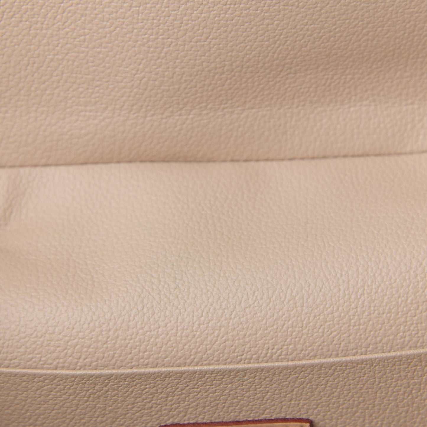 Monogram Nice BB