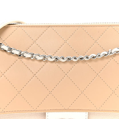 Chanel Caviar Goatskin Quilted Magnetic Camera Case Beige White 8 of 10
