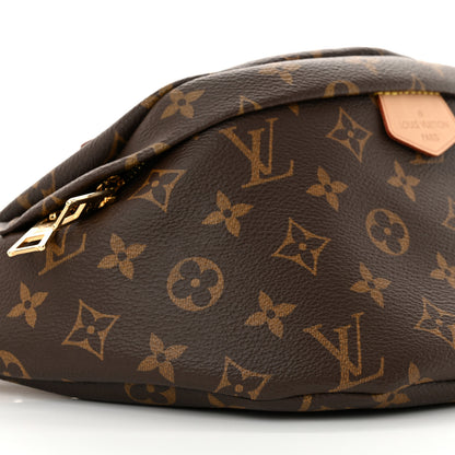 Louis Vuitton Monogram Bumbag 9 of 10