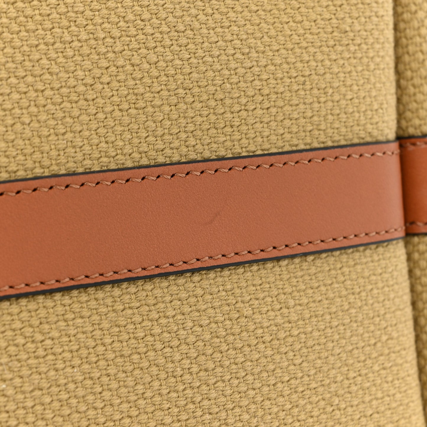 Canvas Calfskin Cuir Triomphe Tote Natural