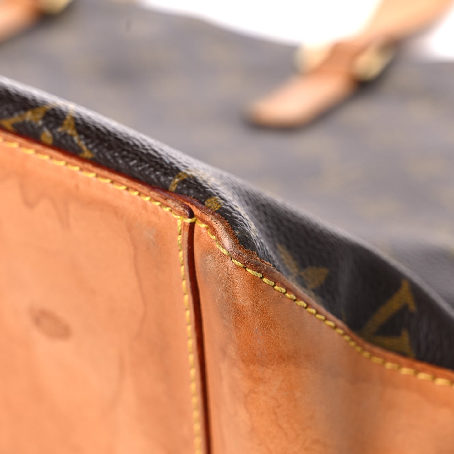Monogram Cabas Mezzo
