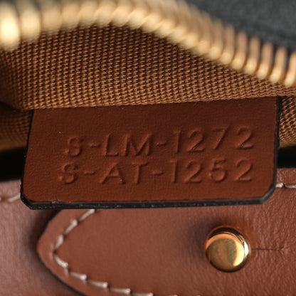 Celine Triomphe Canvas Calfskin Ava Shoulder Bag Tan 7 of 10