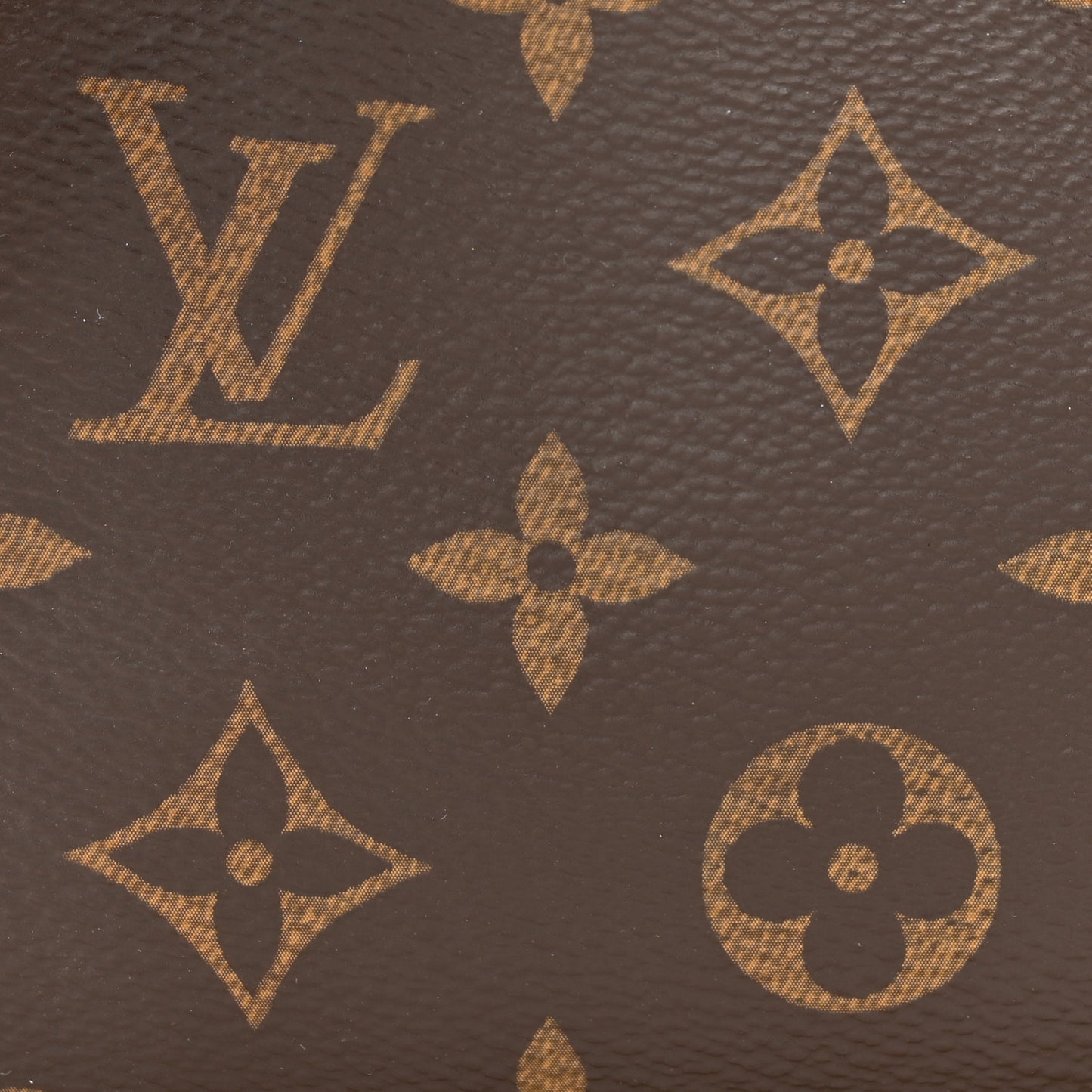 Monogram Eva Clutch