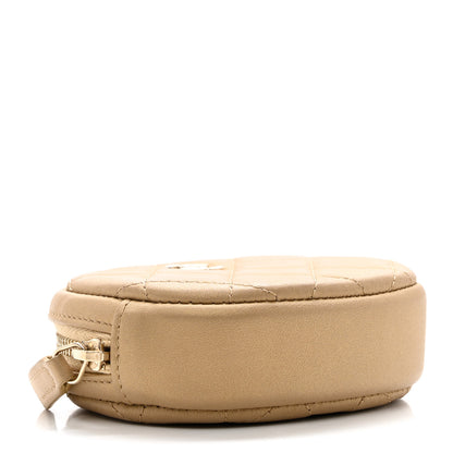 Chanel Metallic Lambskin Quilted Zip Around Classic Coin Purse Gold 3 of 8