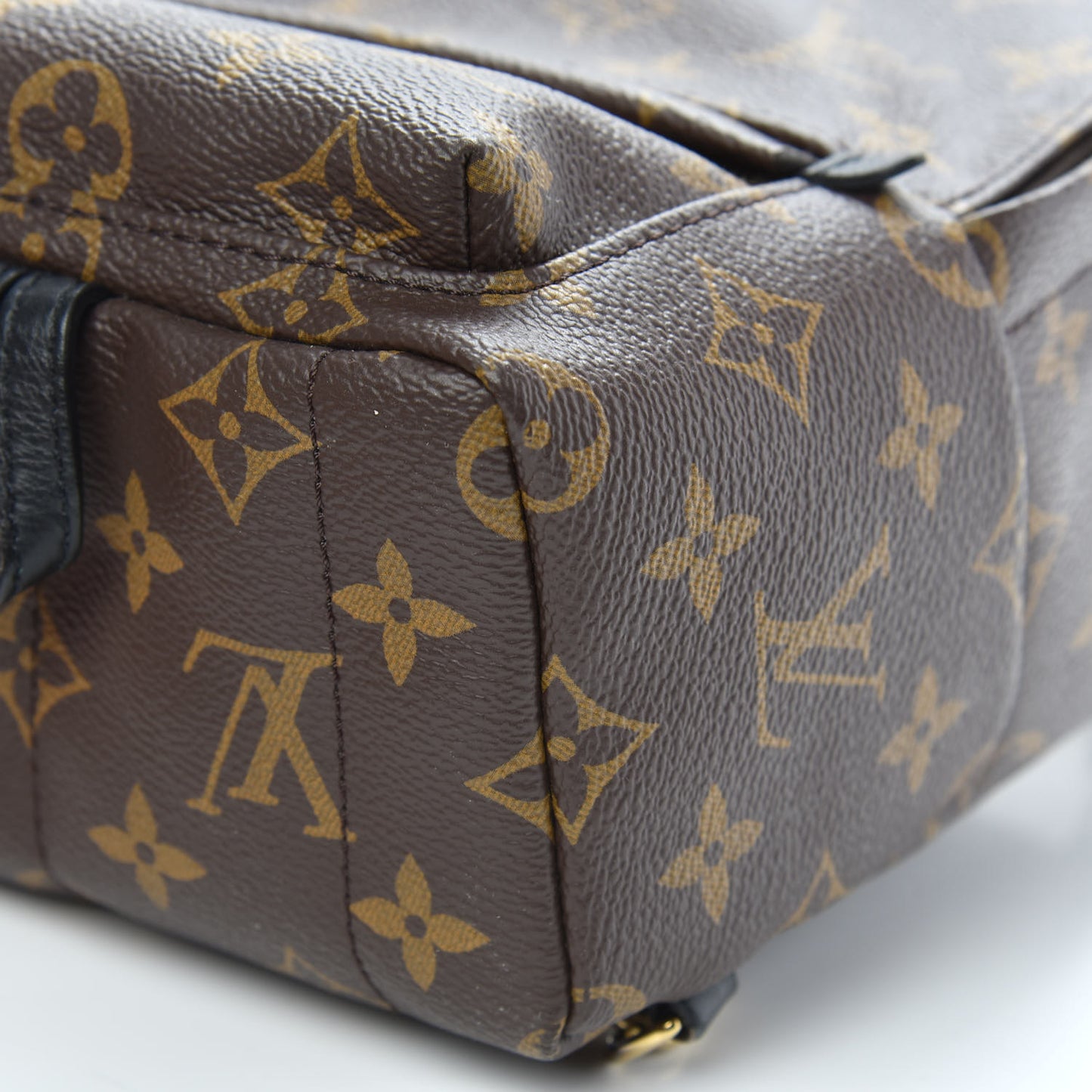 Monogram Palm Springs Backpack Mini
