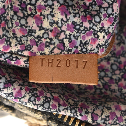 Louis Vuitton Denim Patchwork Speedy 30 Grey 6 of 13