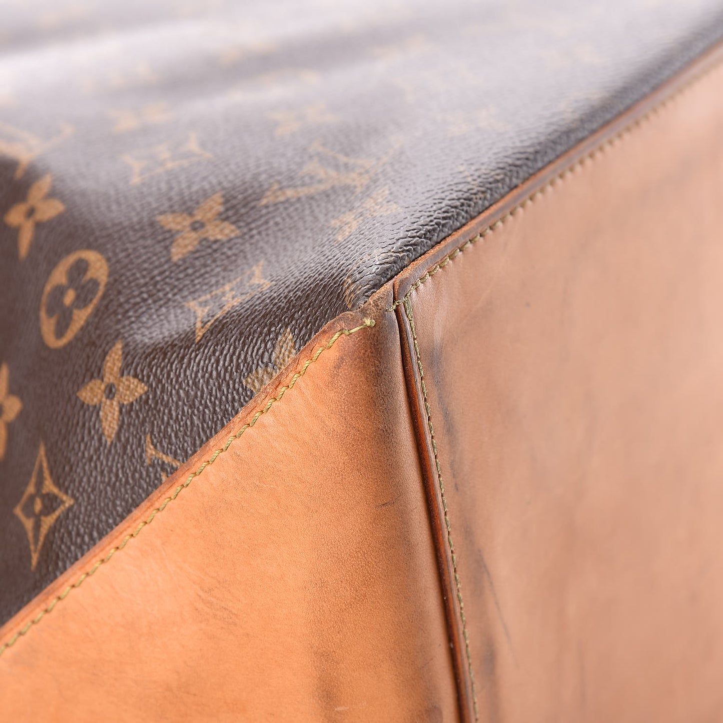Monogram Cabas Mezzo