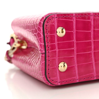 Louis Vuitton Crocodile Nano Capucines 8 of 10
