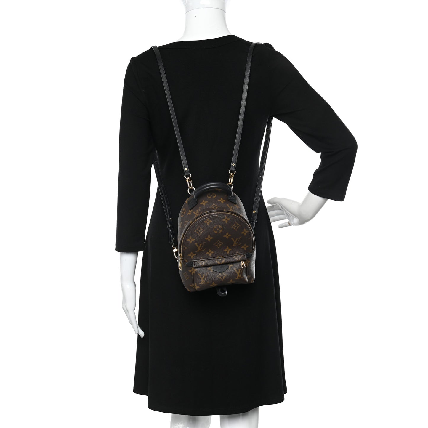 Monogram Palm Springs Backpack Mini