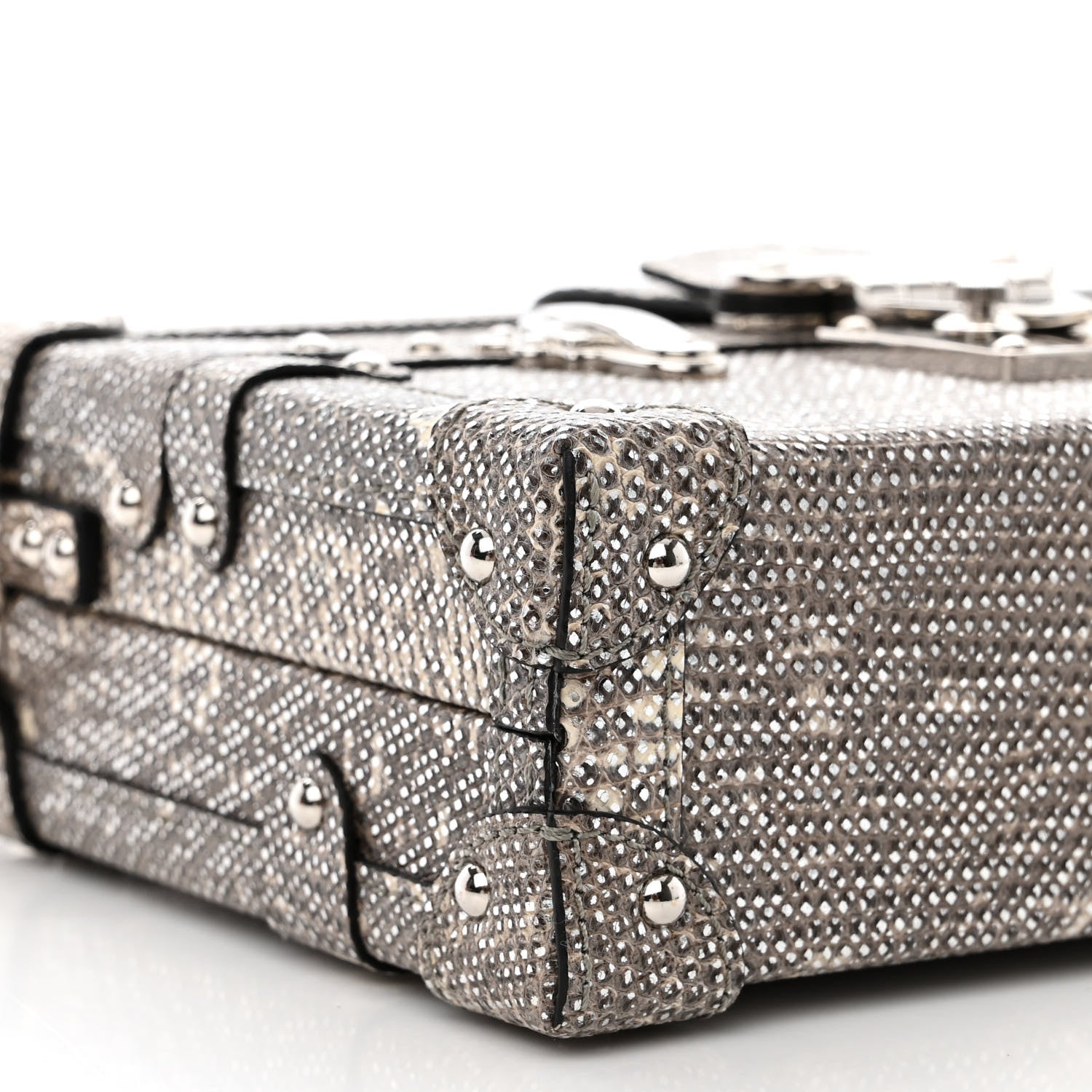 Louis Vuitton Lizard Petite Malle Silver 8 of 9