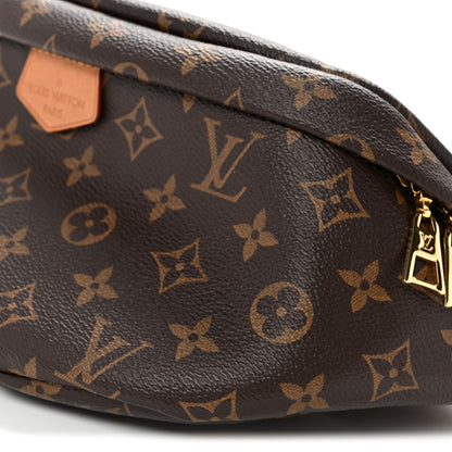 Louis Vuitton Monogram Bumbag 10 of 11