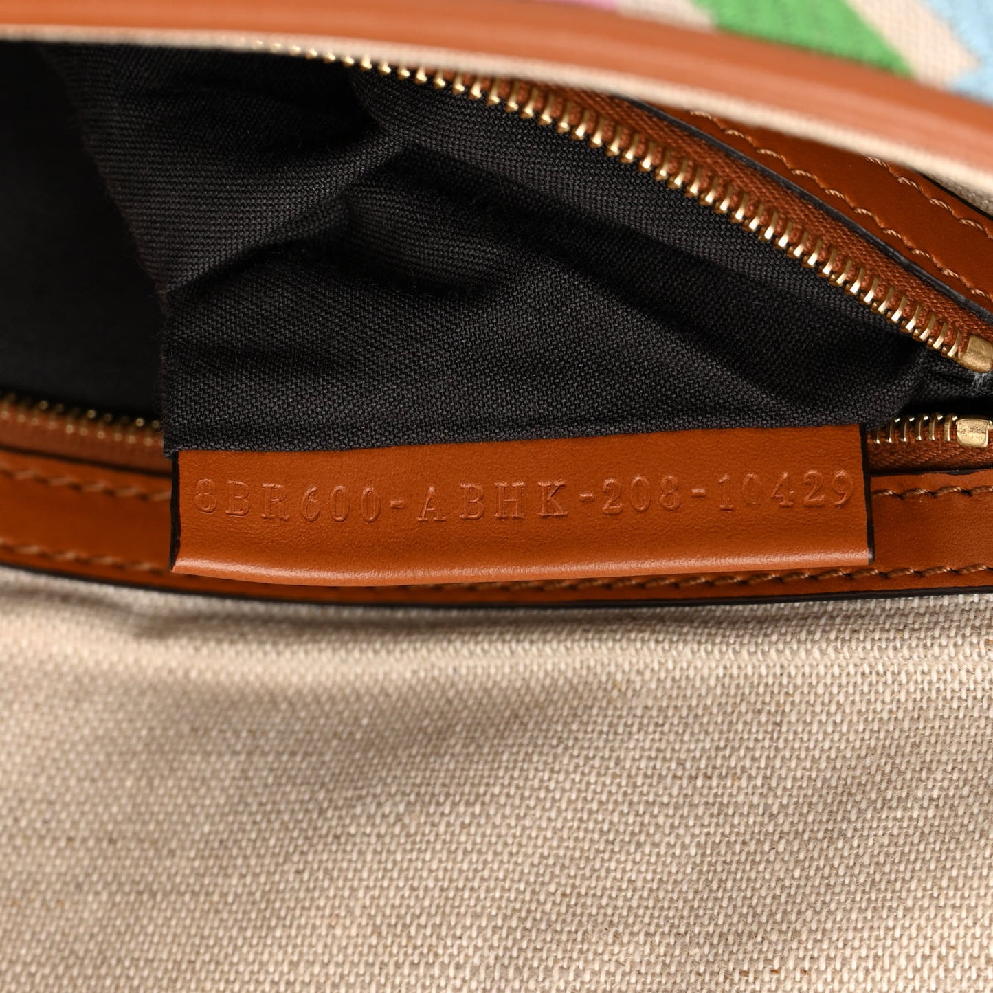 Kuban Canvas Vitello King FF Embroidered Baguette Grezzo Multicolor